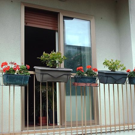 Guest House Cuore Del Friuli Ούντινε Εξωτερικό φωτογραφία