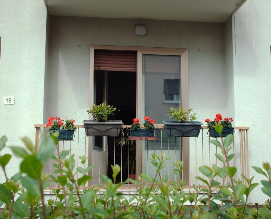 Guest House Cuore Del Friuli Ούντινε Εξωτερικό φωτογραφία