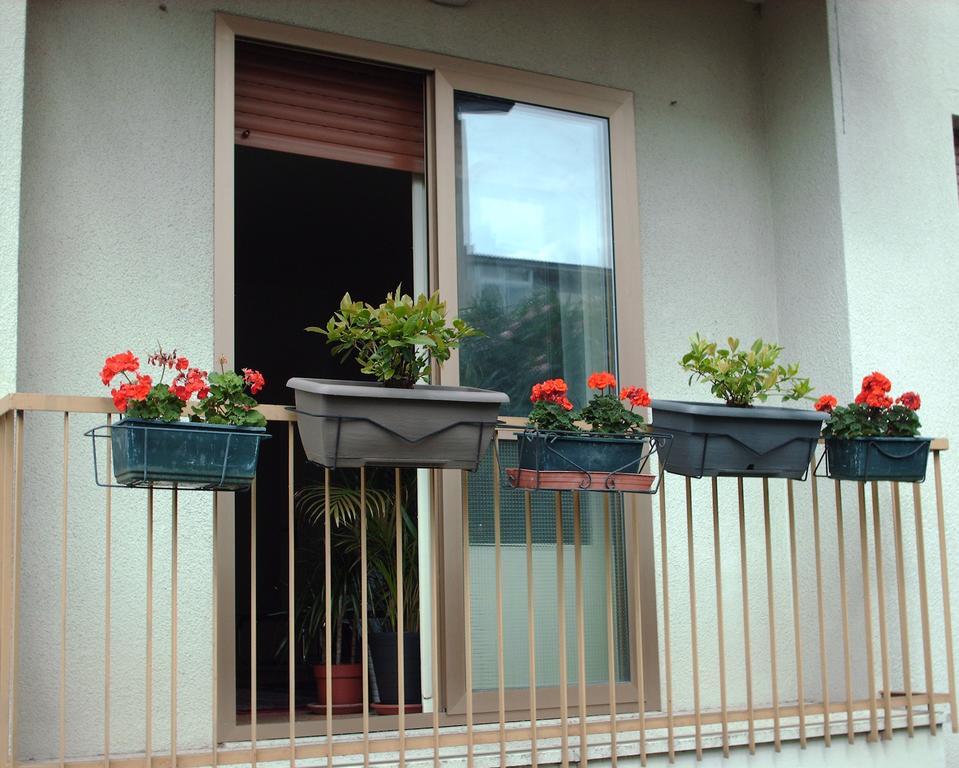 Guest House Cuore Del Friuli Ούντινε Εξωτερικό φωτογραφία